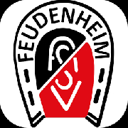 deasvfeudenheim.publisher.png.jpg